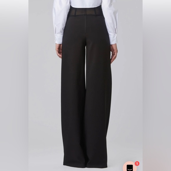 Murmur Sheer Waist Corset Pants Mesh FRAME TROUSERS palazzo wide leg boning mur - Picture 8 of 16